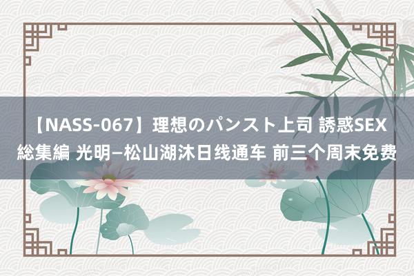 【NASS-067】理想のパンスト上司 誘惑SEX総集編 光明—松山湖沐日线通车 前三个周末免费