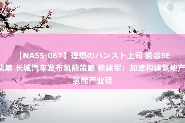 【NASS-067】理想のパンスト上司 誘惑SEX総集編 长城汽车发布氢能策略 魏建军：加速构建氢能产业链