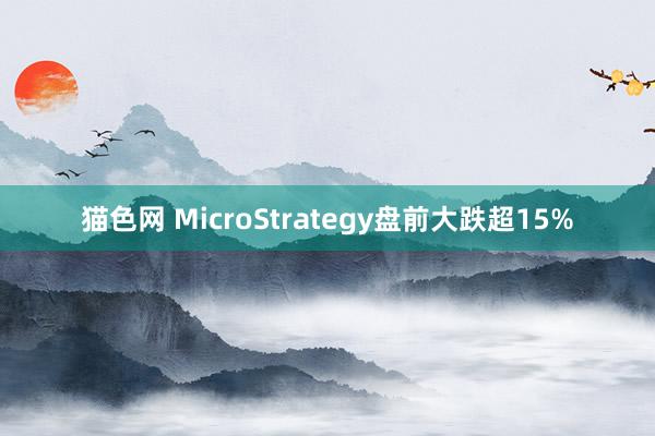 猫色网 MicroStrategy盘前大跌超15%