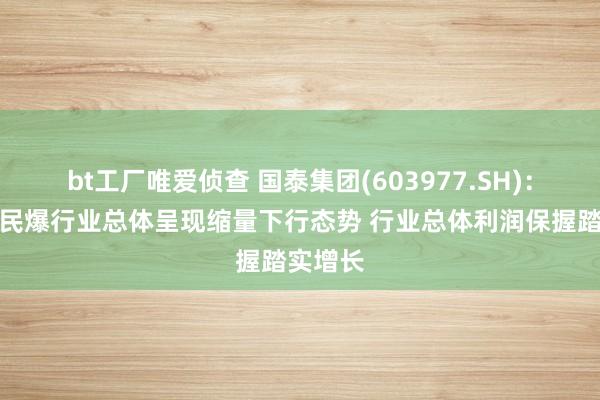 bt工厂唯爱侦查 国泰集团(603977.SH)：上半年民爆行业总体呈现缩量下行态势 行业总体利润保握踏实增长