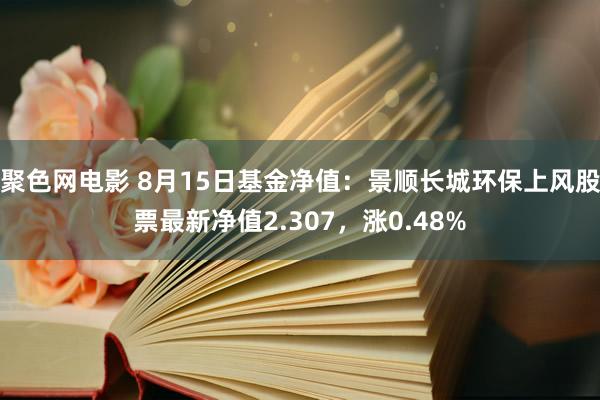 聚色网电影 8月15日基金净值：景顺长城环保上风股票最新净值2.307，涨0.48%