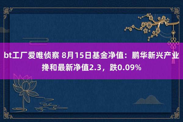 bt工厂爱唯侦察 8月15日基金净值：鹏华新兴产业搀和最新净值2.3，跌0.09%