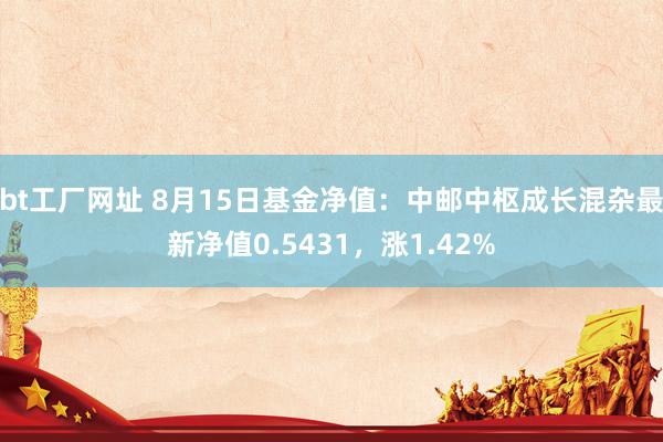 bt工厂网址 8月15日基金净值：中邮中枢成长混杂最新净值0.5431，涨1.42%