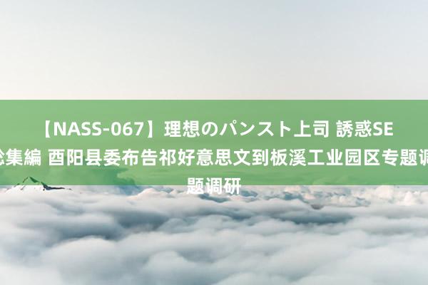 【NASS-067】理想のパンスト上司 誘惑SEX総集編 酉阳县委布告祁好意思文到板溪工业园区专题调研