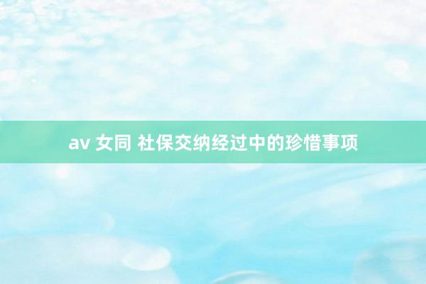 av 女同 社保交纳经过中的珍惜事项