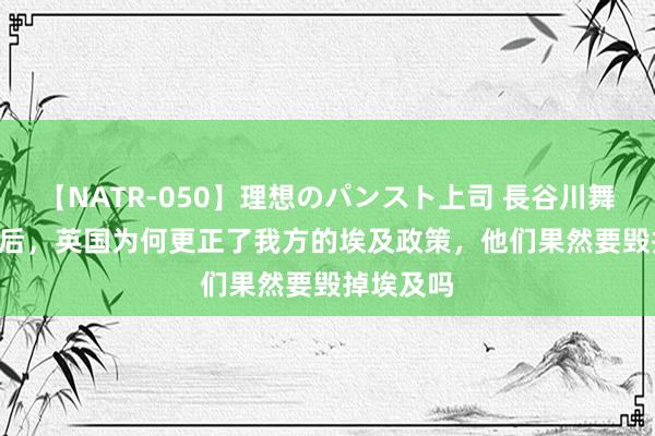 【NATR-050】理想のパンスト上司 長谷川舞 1919年后，英国为何更正了我方的埃及政策，他们果然要毁掉埃及吗