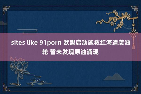 sites like 91porn 欧盟启动施救红海遭袭油轮 暂未发现原油涌现