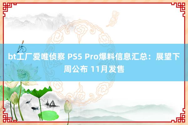 bt工厂爱唯侦察 PS5 Pro爆料信息汇总：展望下周公布 11月发售