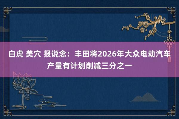 白虎 美穴 报说念：丰田将2026年大众电动汽车产量有计划削减三分之一