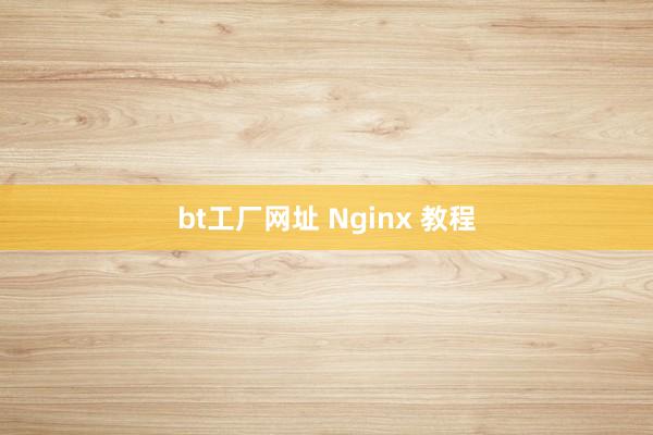 bt工厂网址 Nginx 教程