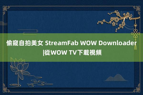 偷窥自拍美女 StreamFab WOW Downloader |從WOW TV下載視頻