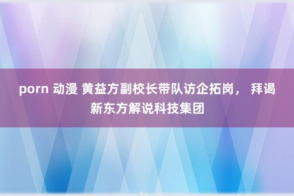 porn 动漫 黄益方副校长带队访企拓岗， 拜谒新东方解说科技集团