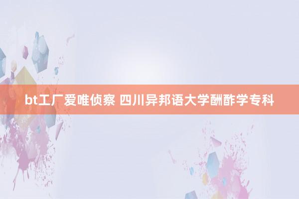 bt工厂爱唯侦察 四川异邦语大学酬酢学专科